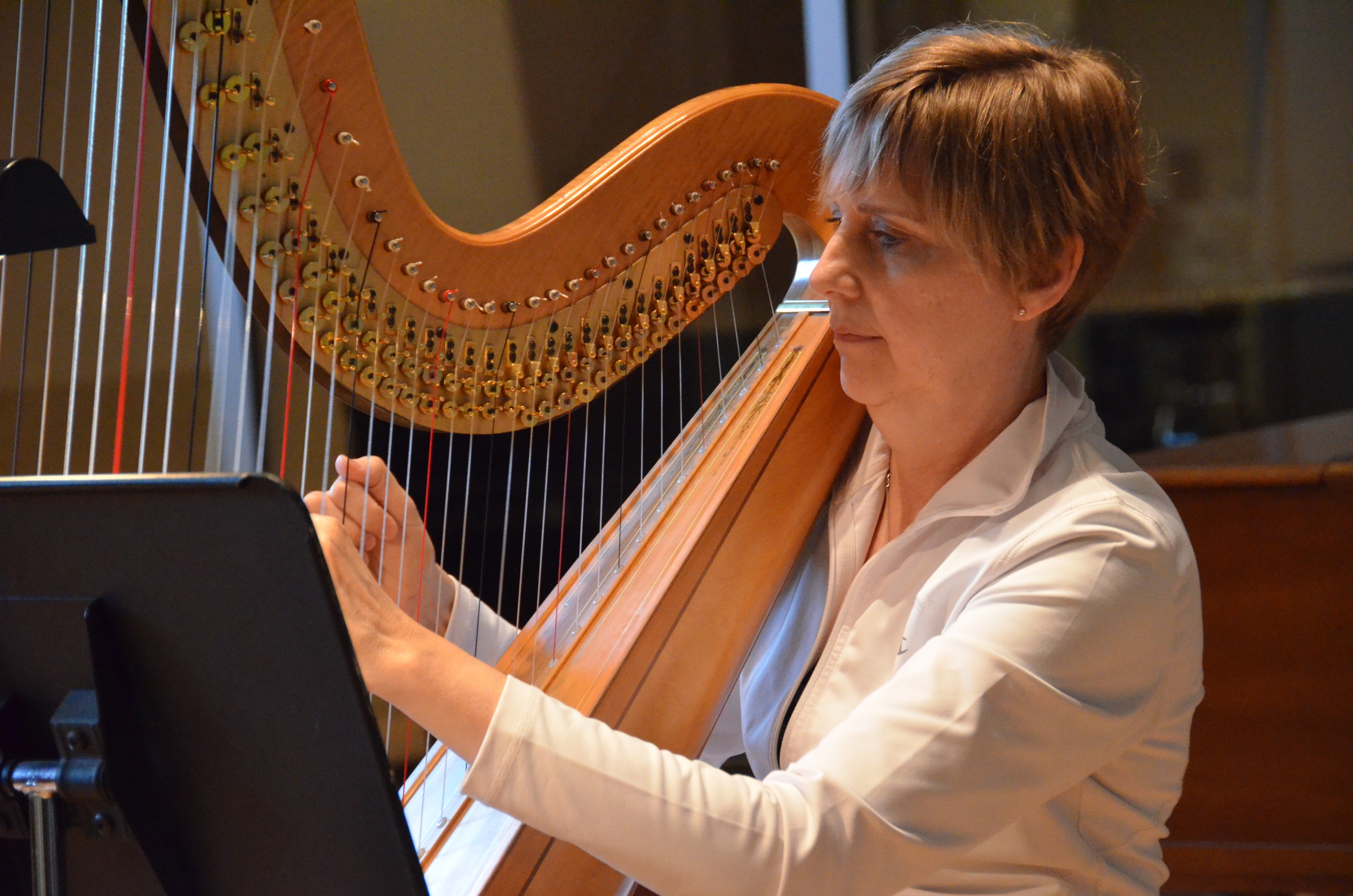 Haley the Harp